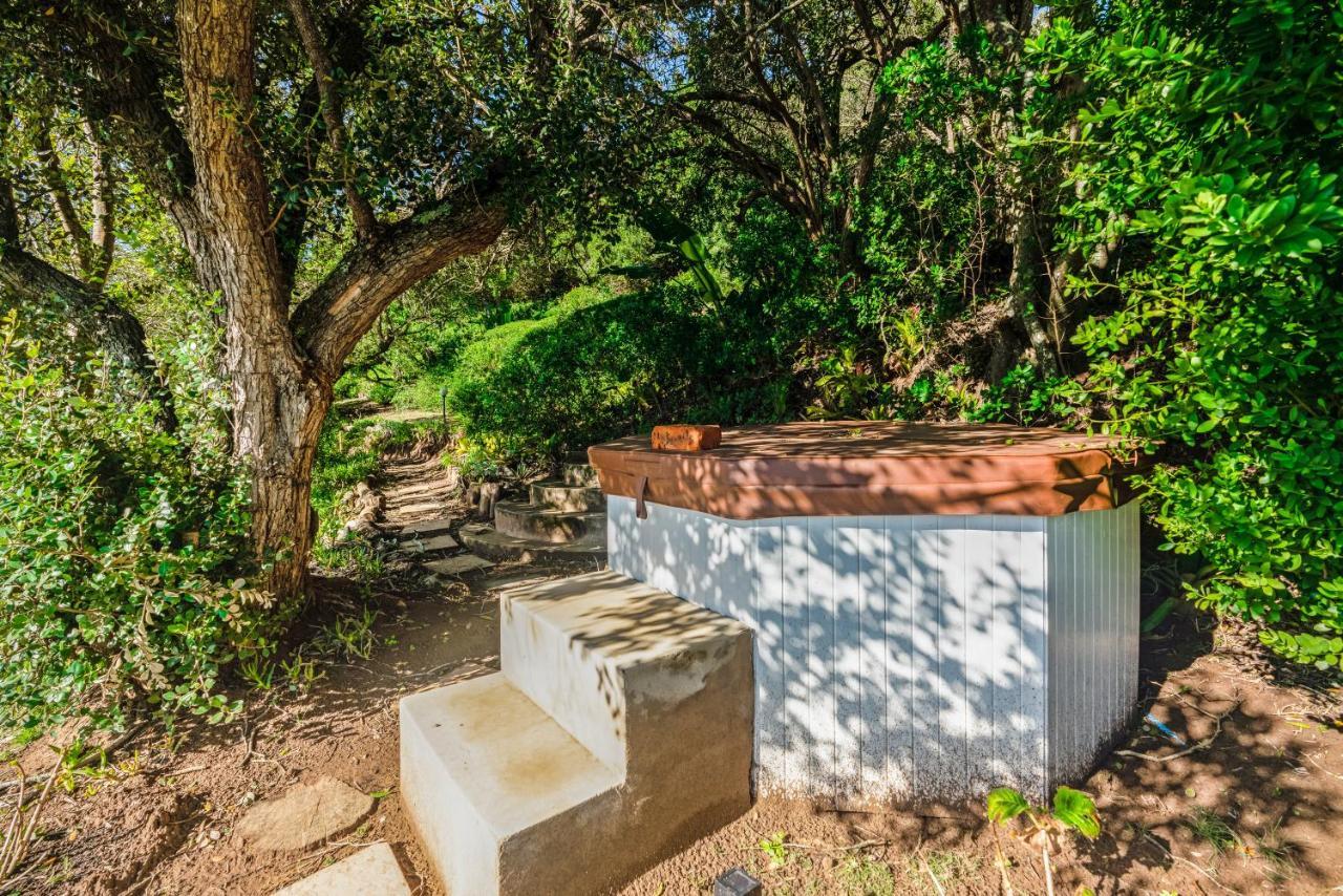 Coney Glen Penthouse Knysna Exterior foto
